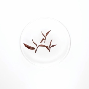 KIT001. 신죽 동방미인 배치 테이스터 키트