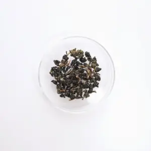 LOT027. 삼림계 야방오룡 23春