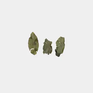 BISA008. 평림구 문산포종 비새 두등장 23冬 5
