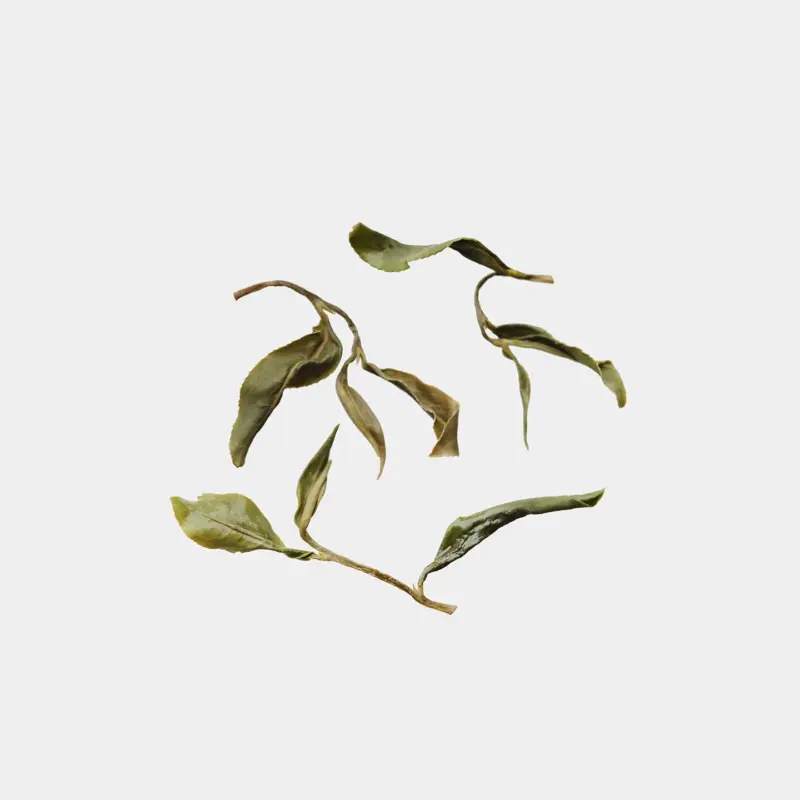 LOT065. 장공륜산 녹차 24春 엽저