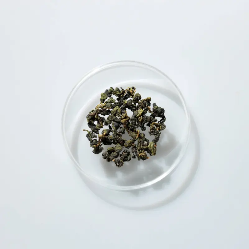 LOT079. 홍향 24春 건차