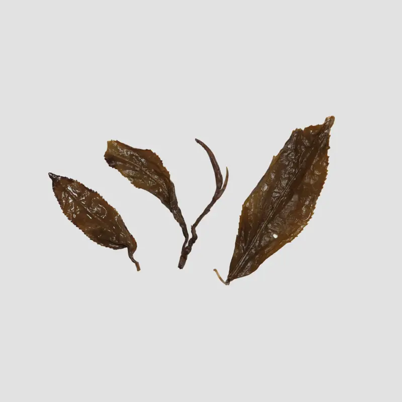 LOT082. 목책철관음 차두 24春 엽저