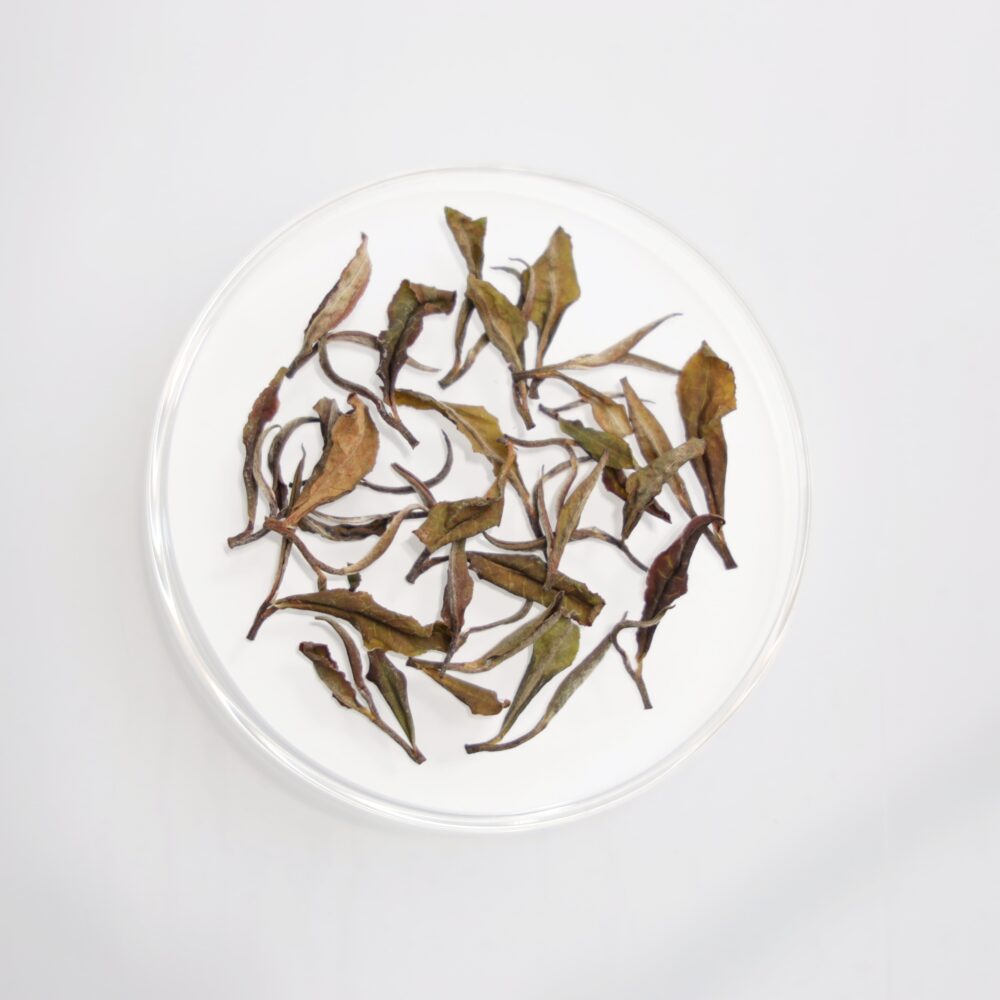 LOT124. 일월담 홍운 백차 24冬