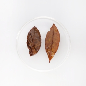 LOT136. 전수공 황심오룡