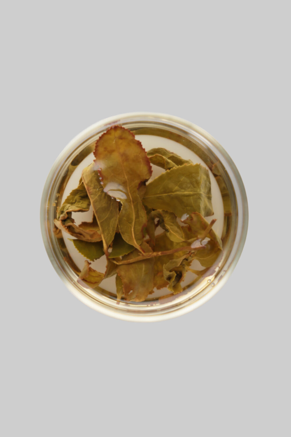 LOT143. 야방 심옥 25春