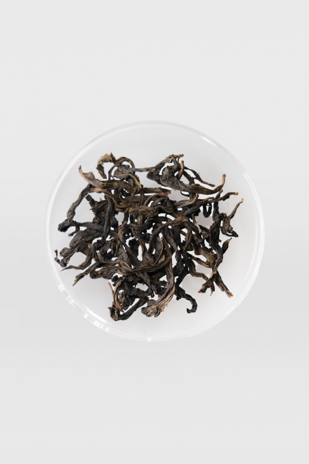 LOT151. 경배포종 25春