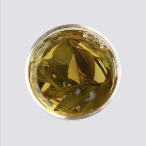 LOT163. 겨울 대우령 25冬
