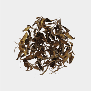 LOT171. 심옥백 동편