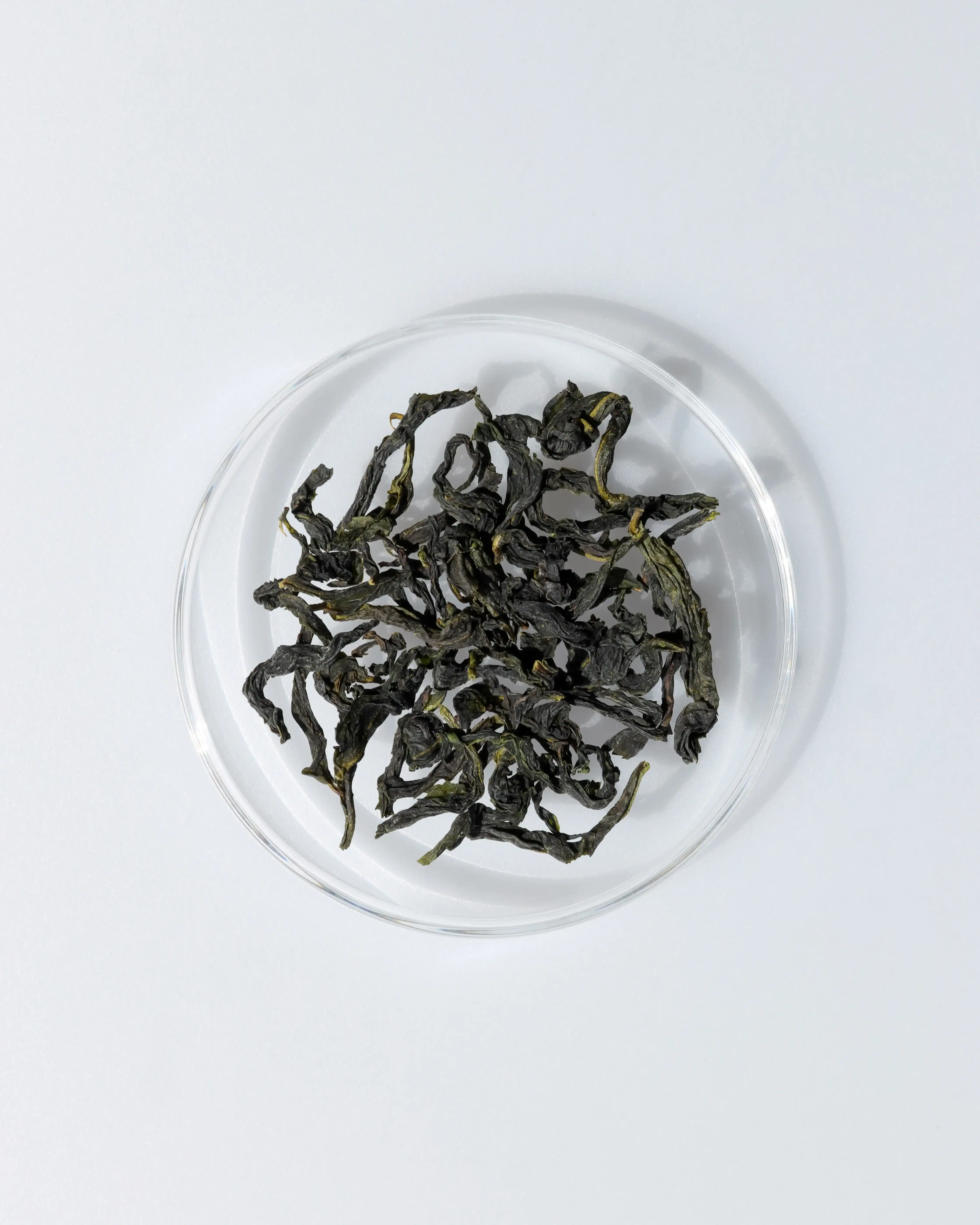 LOT186. 취옥 문산포종