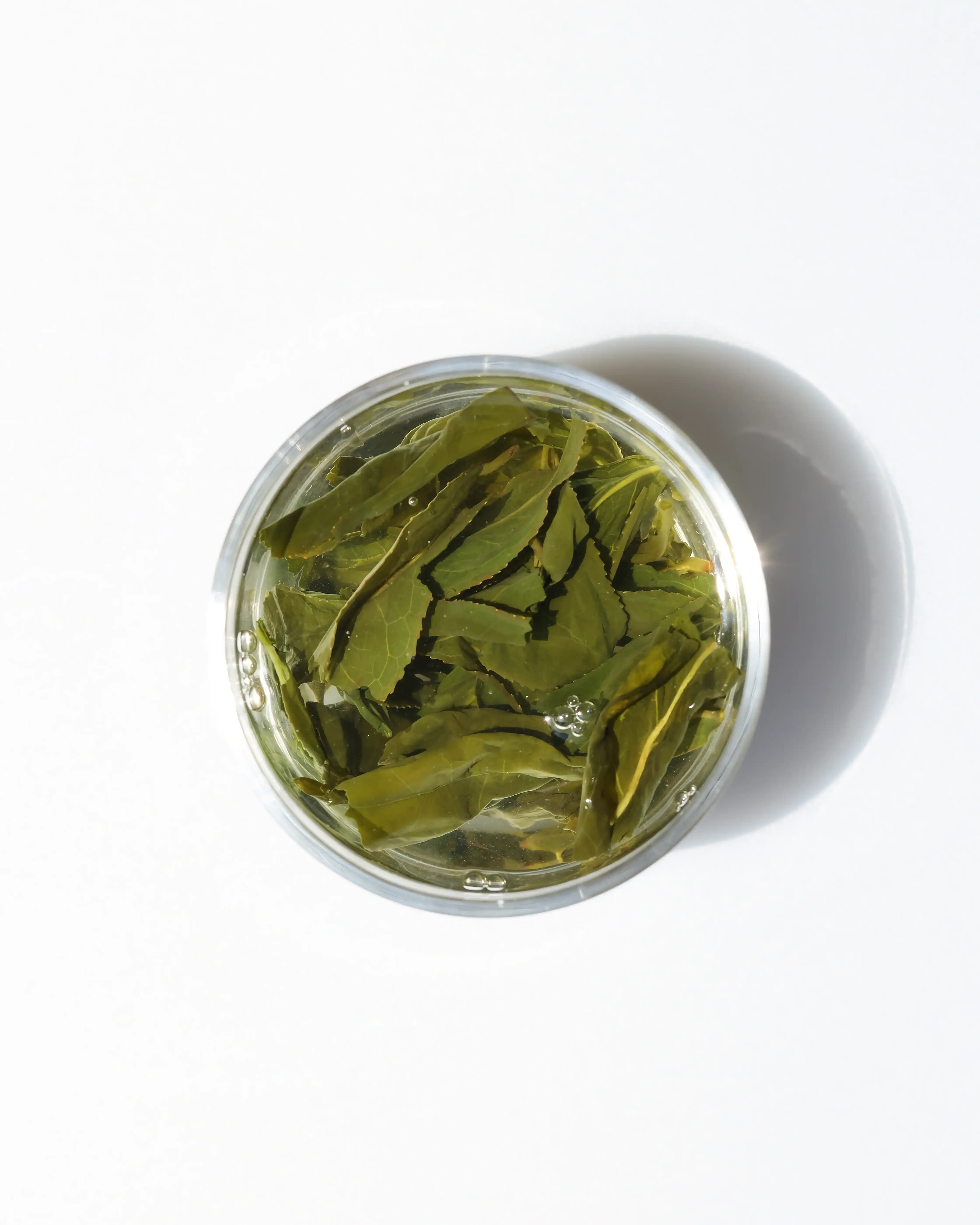 LOT187. 청심오룡 문산포종
