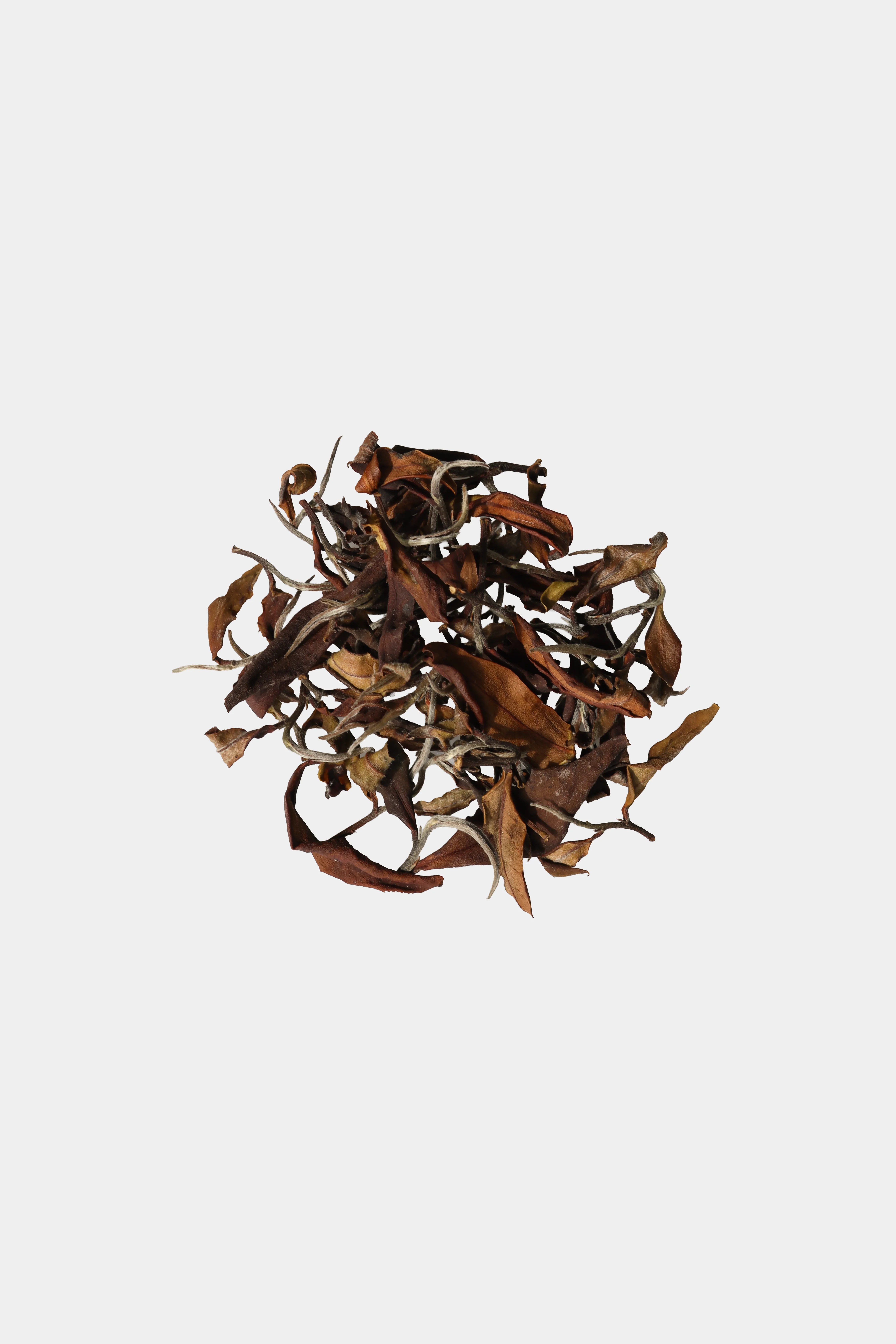 LOT197. 삼림계 가을 백차 25秋