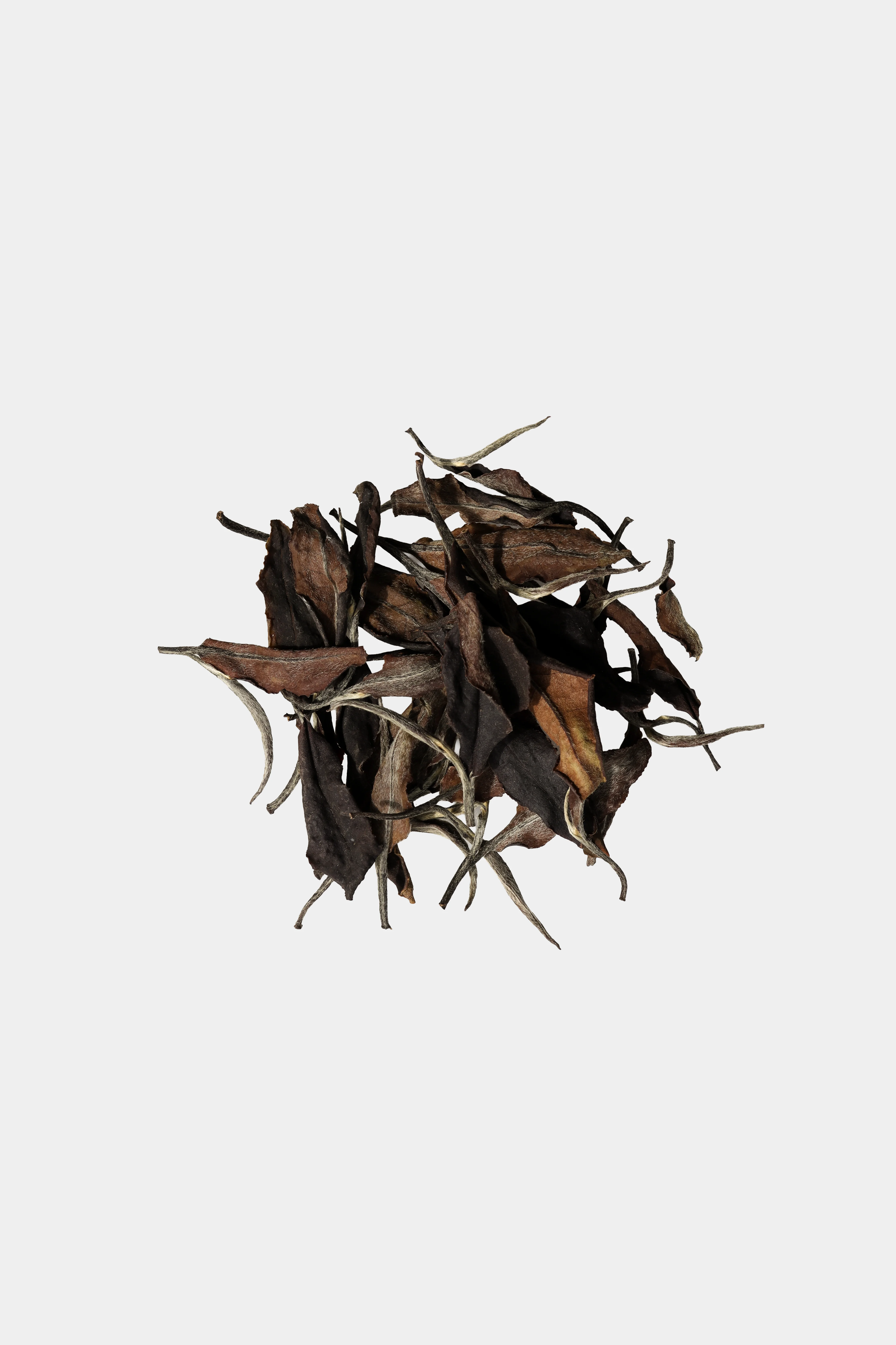 LOT198. 석문 야방 수선백 25夏