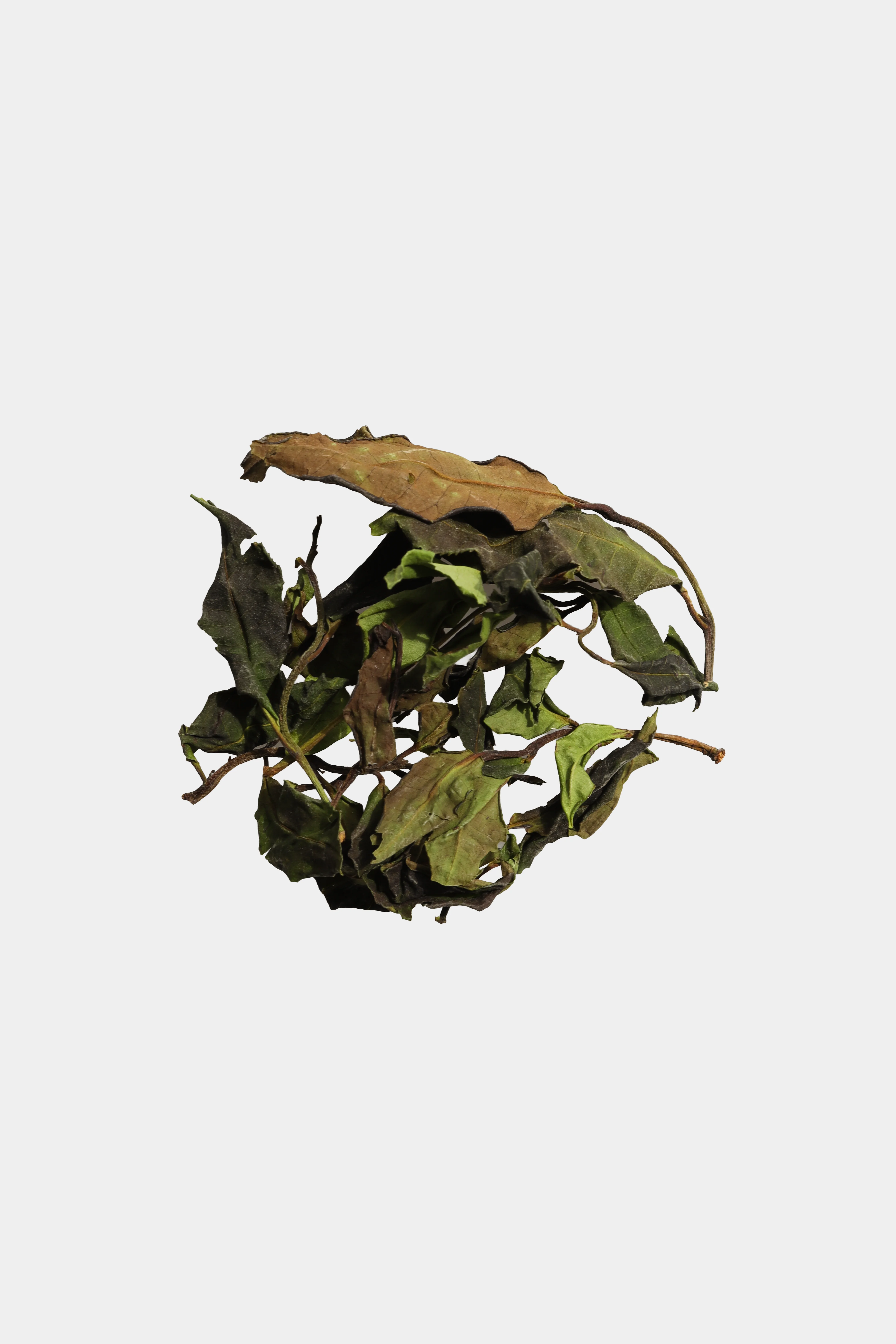 LOT199. 운남 단주 백차