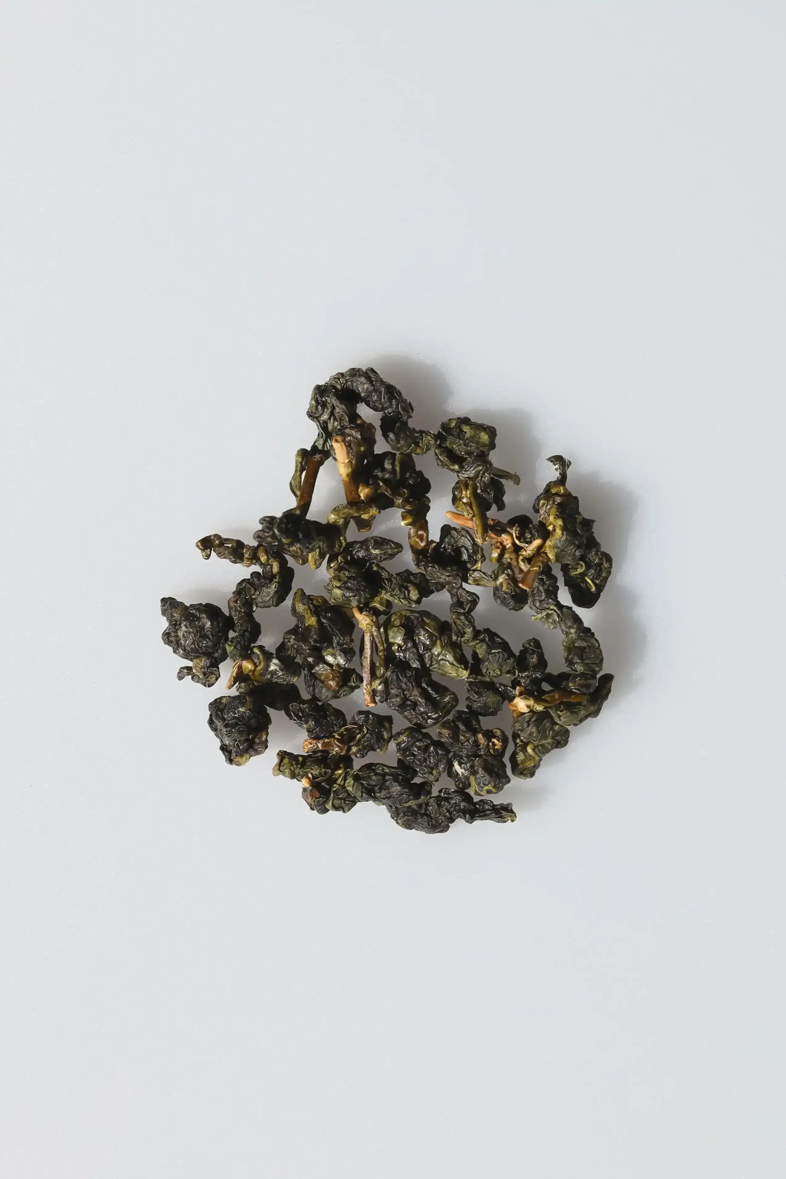 LOT189. 전수공 노수 금훤