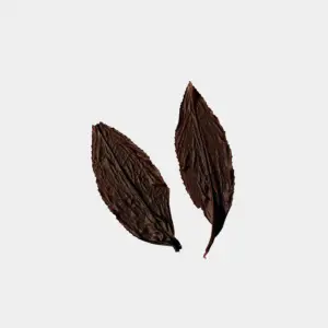 LOT209. 삼림계 기운 홍차 엽저