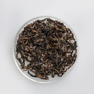 1B3A0503