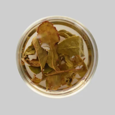 1B3A8734