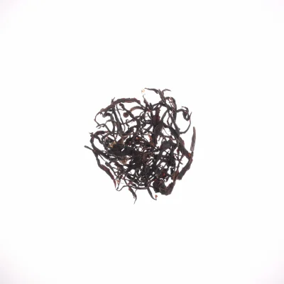 1B3A8833