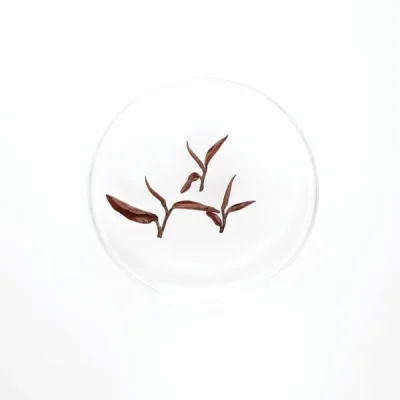 514128ca06007-1.jpg
