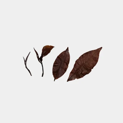 LOT088. 쇄청 홍옥 백차 엽저